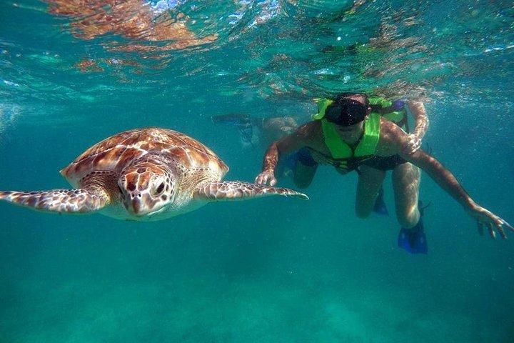 Tulum ruins swim with turtles in Akumal and Cenote