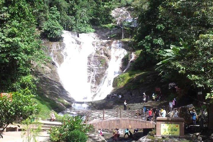 Cameron Highlands Full-Day Tour