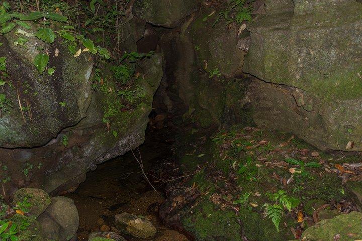 Explore Pannila Cave from Colombo