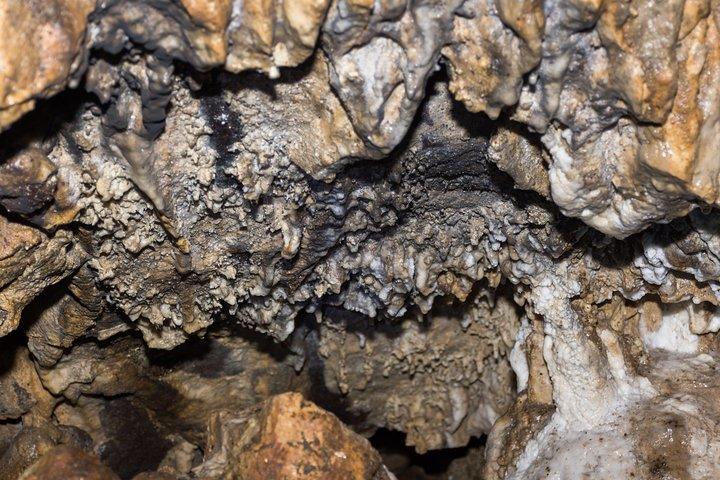 Explore Pannila Cave from Colombo