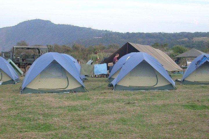 5 Days Tanzania Safari- Tarangire, Serengeti, Ngorongoro, Manyara