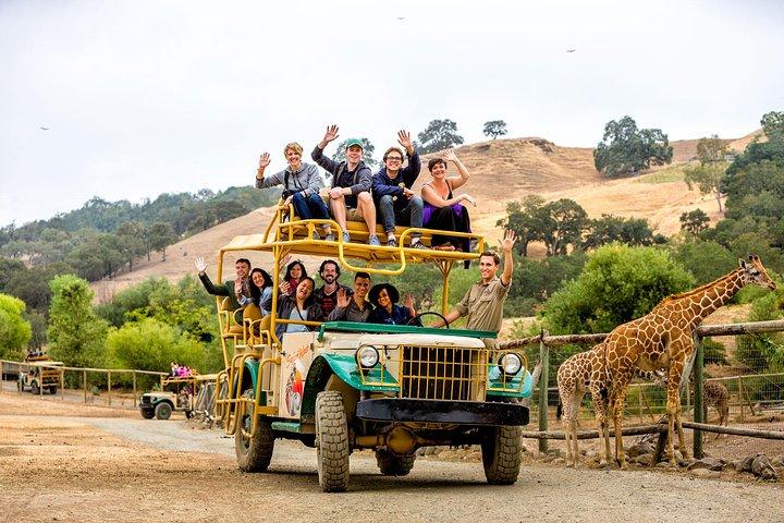 Safari West Sonoma Adventure Tour