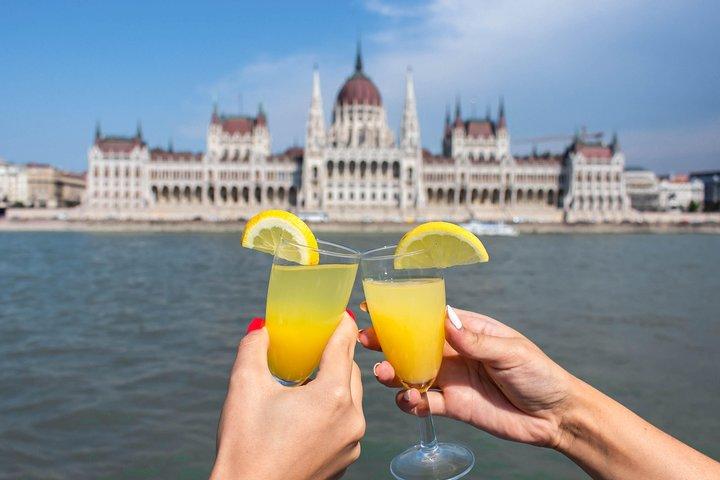 Budapest Danube Cruise with Drink, Audio Guide