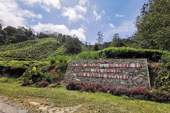 Cameron Highlands Full-Day Nature Tour