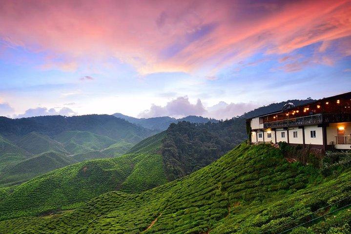 Cameron Highlands & Batu Caves Tour