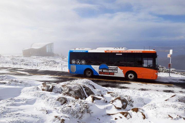 Hobart Hop-On Hop-Off Bus & kunanyi/Mt Wellington Tour