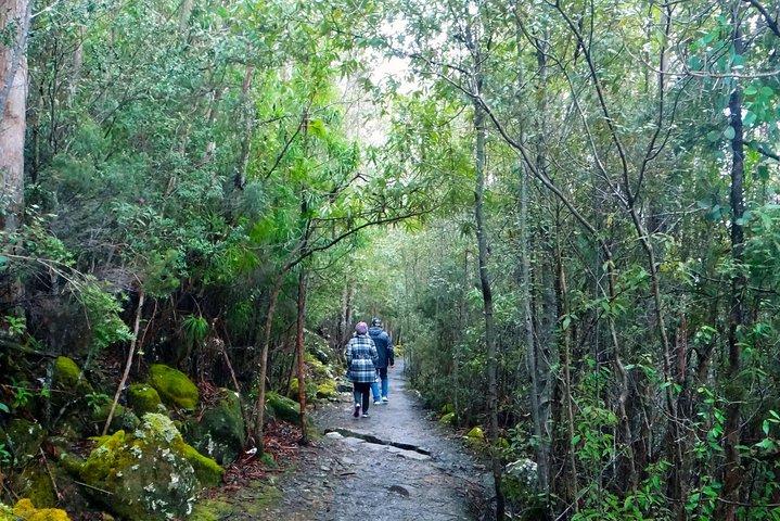 Hobart Hop-On Hop-Off Bus & kunanyi/Mt Wellington Tour