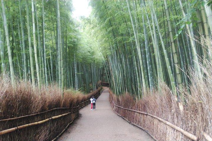 Kyoto Arashiyama & Golden Pavilion One-Day Walking Tour