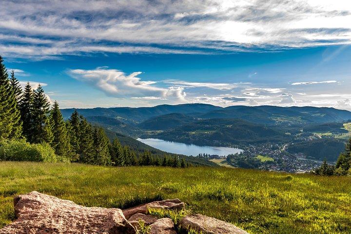 Black Forest and Rhine Falls Day Trip from Zurich
