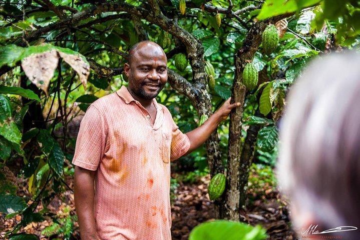 Fruits & Spices Adventure