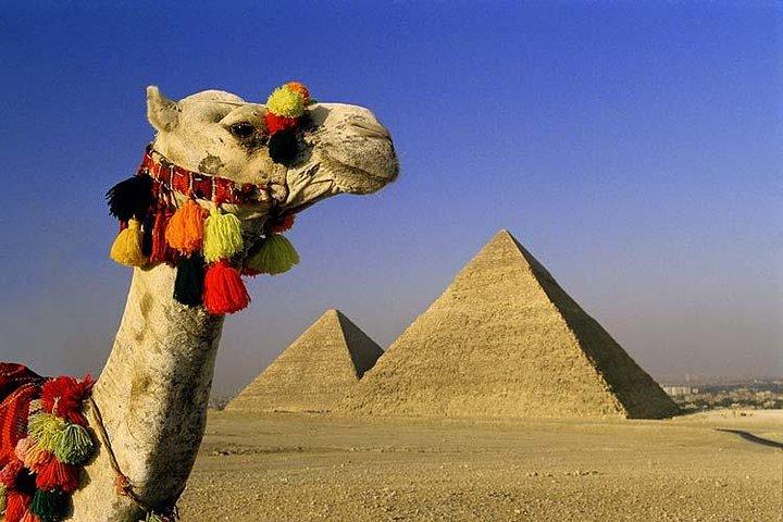 The Grand Egyptian Museum, Giza Pyramids & Sphinx Including Lunch