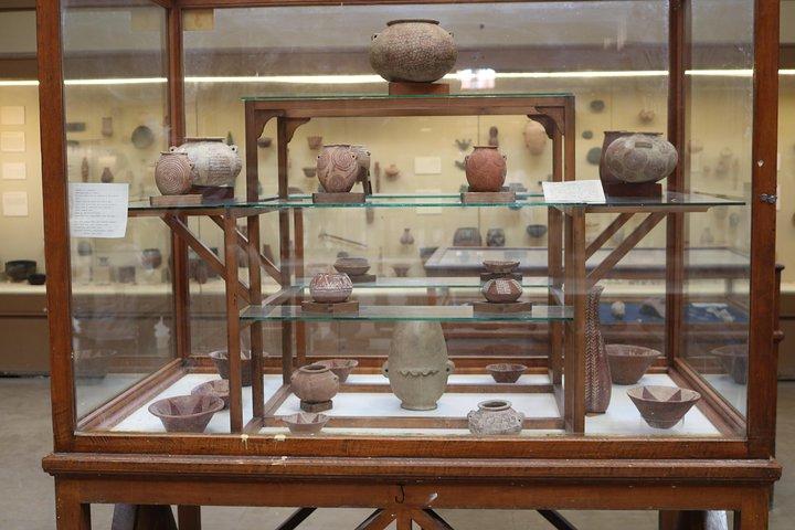 Cairo: The Egyptian Museum - Half Day Tour