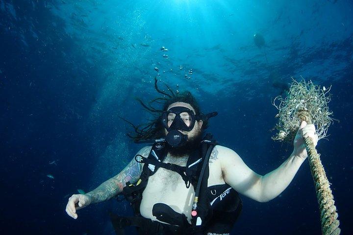 Chumphon Pinnacle-Koh Tao 2 dive trip for certified divers