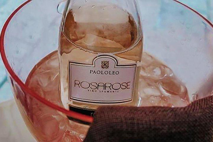 Rich tasting of Salento wines