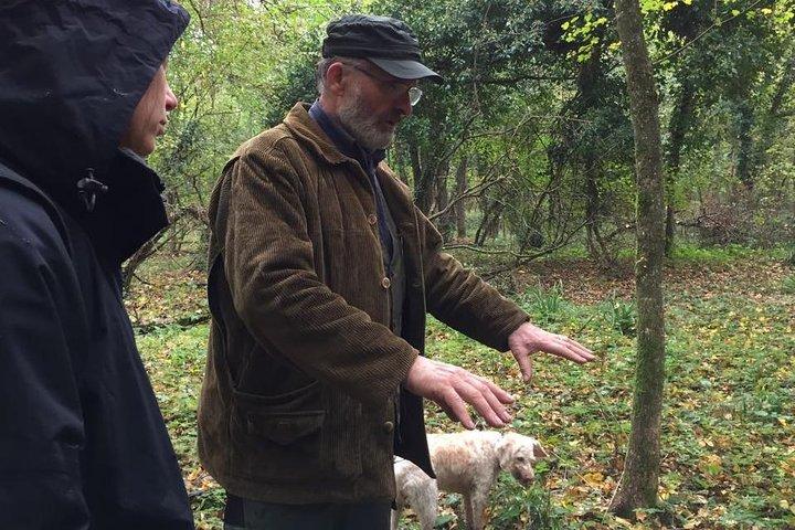 Truffle hunt, Lunch, Horse riding, a top half-day near Florence