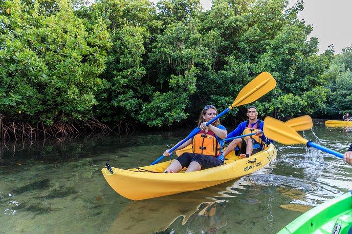 Bioluminescent Bay Night Kayaking, Fajardo 7:30pm
