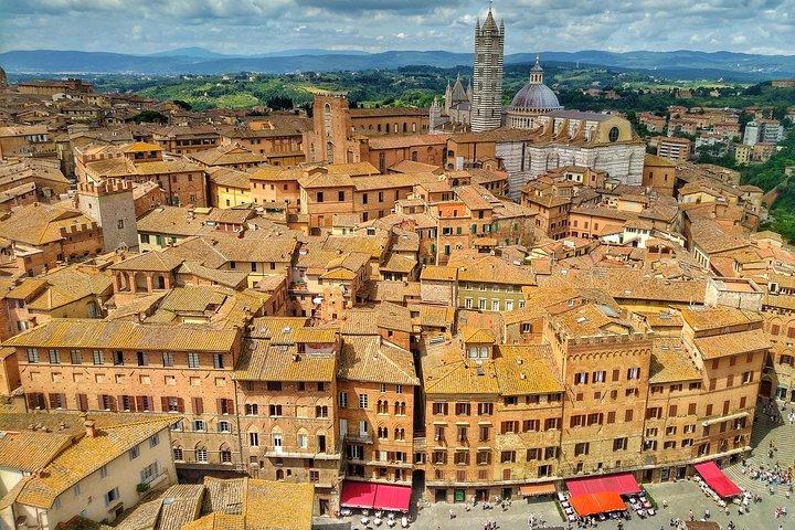 Siena Private walking tour