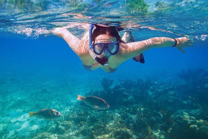 Bali Blue Lagoon Snorkeling Experience