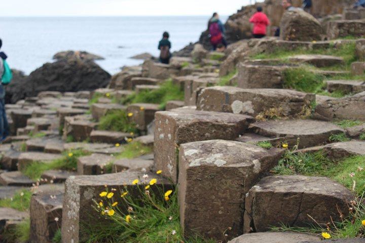 Game of Thrones and Giant's Causeway Day Tour from Belfast