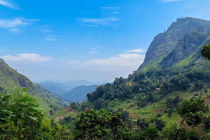 Kandy to Nuwara Eliya Private Day Tour