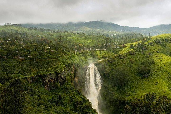 Kandy to Nuwara Eliya Private Day Tour