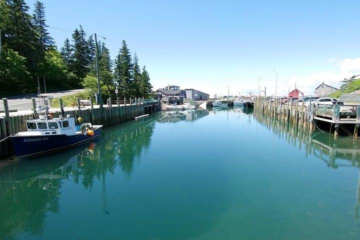 Grand Pre/Bay of Fundy / Hall's Harbour