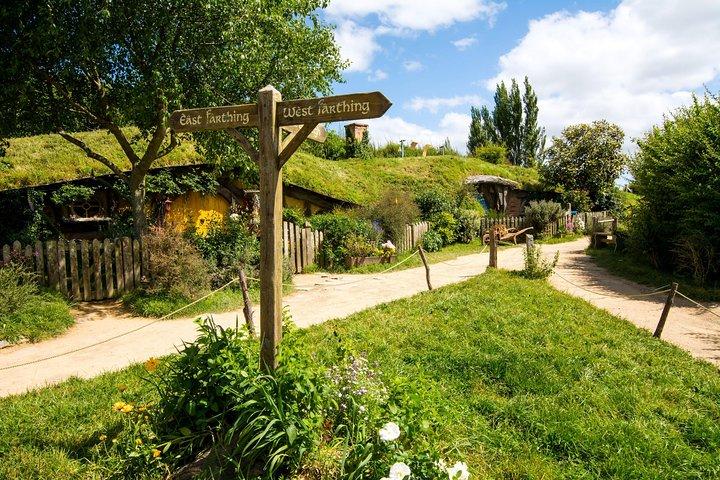 Luxury Small group tour from Auckland to Hobbiton Movie Set