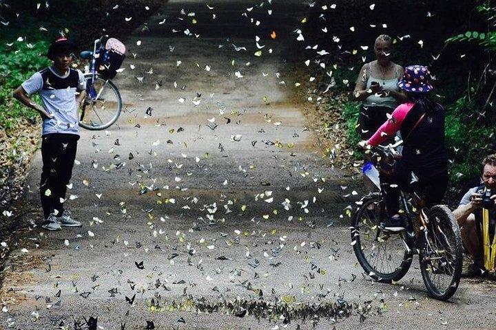 Nam Cat Tien National Park 2 Days 1 Night Tour