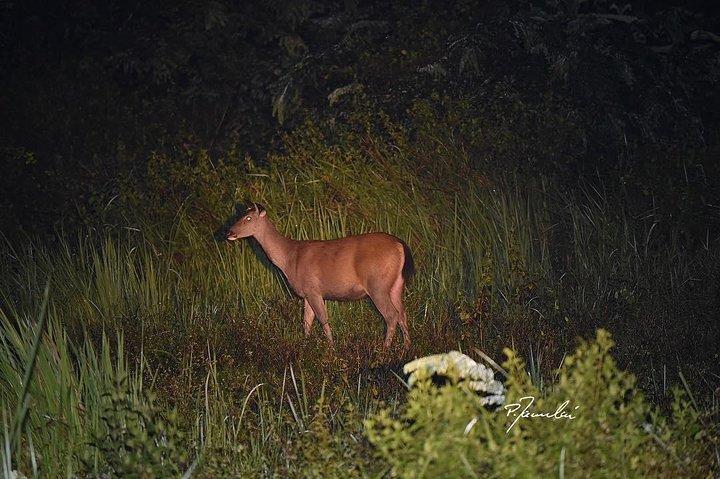 Nam Cat Tien National Park 2 Days 1 Night Tour