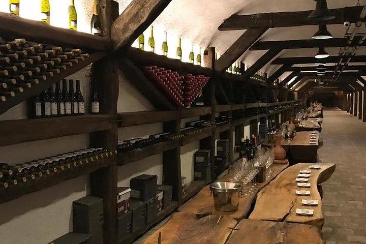 Full Day Private Wine Tour in Kakheti Region with Lunch and 3 Wine Tastings