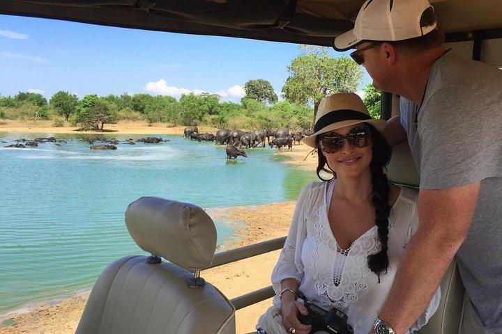 Bundala National Park Safari