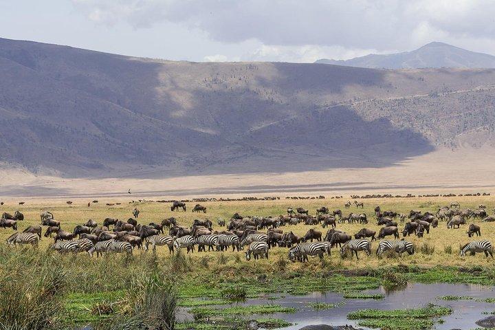 3 days Safari to Tarangire ,Lake Manyara and Ngorongoro crater