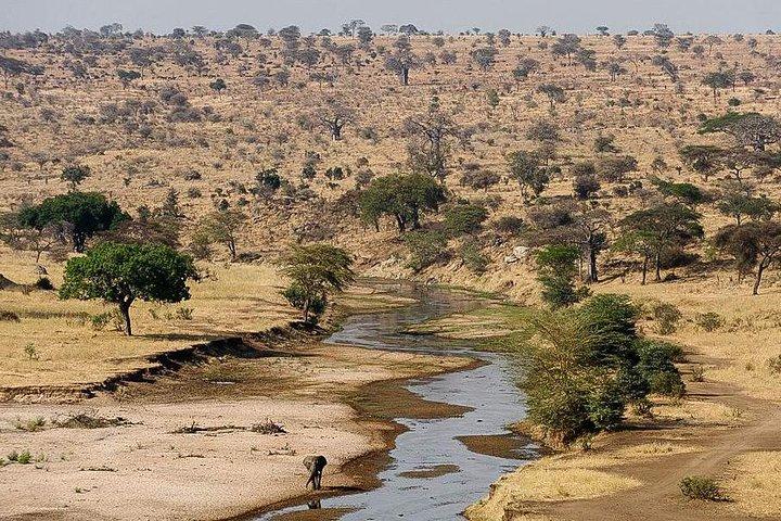 3 days Safari to Tarangire ,Lake Manyara and Ngorongoro crater