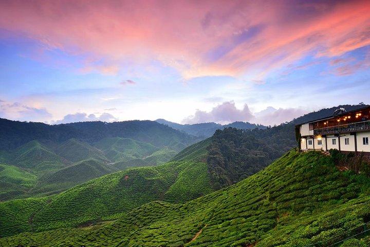 Cameron Highlands to Kuala Lumpur