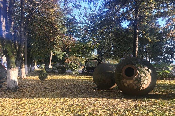 Full Day Private Wine Tour in Kakheti Region with Lunch and 3 Wine Tastings