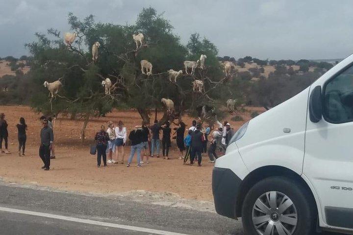 Private transfer Agadir Marrakech.