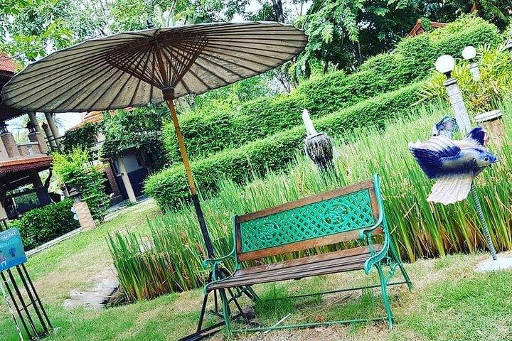 Halfday Join Tour Bangkok Countryside & Bird Watching Experience with Lunch
