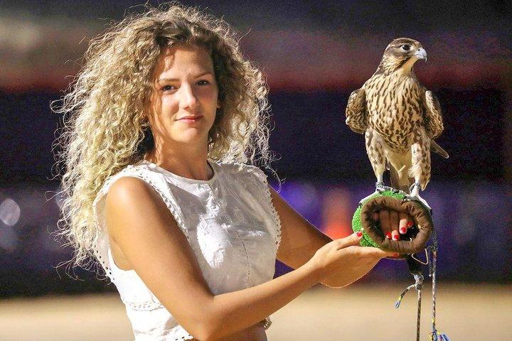Evening Abu Dhabi Desert Safari & BBQ Dinner- Standard Tour