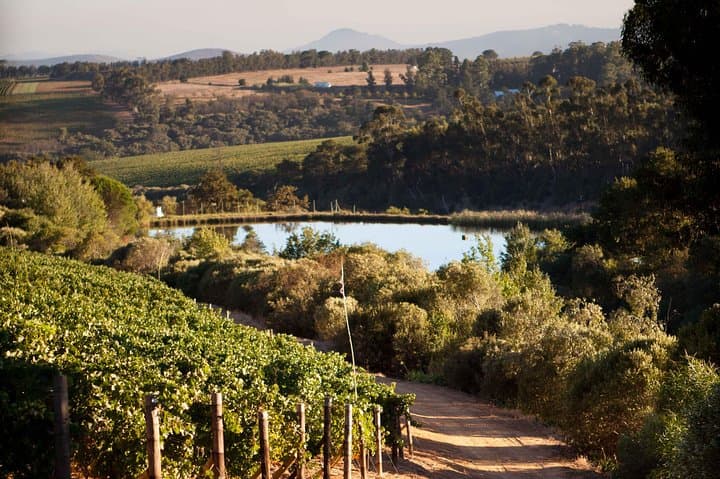Private Franschhoek and Paarl Wine Tour with Pick up and Drop off