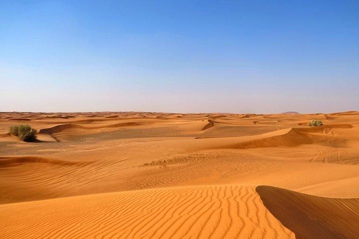 Dubai Desert Safari with Dune Bashing, Camel Rides & BBQ