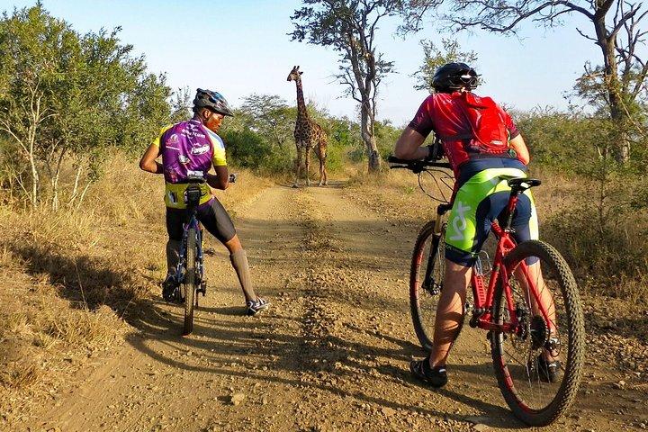 West Kilimanjaro cycling Adventures