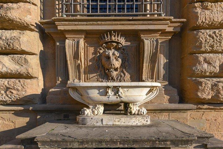 Pitti Palace and Palatina Gallery