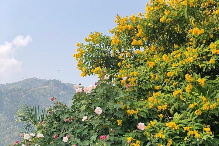 Nagarkot Sunrise with Day Hiking from Kathmandu