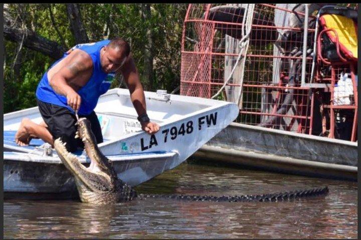 New Orleans Small-Group Airboat Swamp Tour
