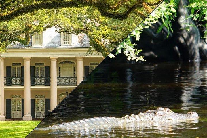 Oak Alley Plantation and Swamp Boat Tour from New Orleans