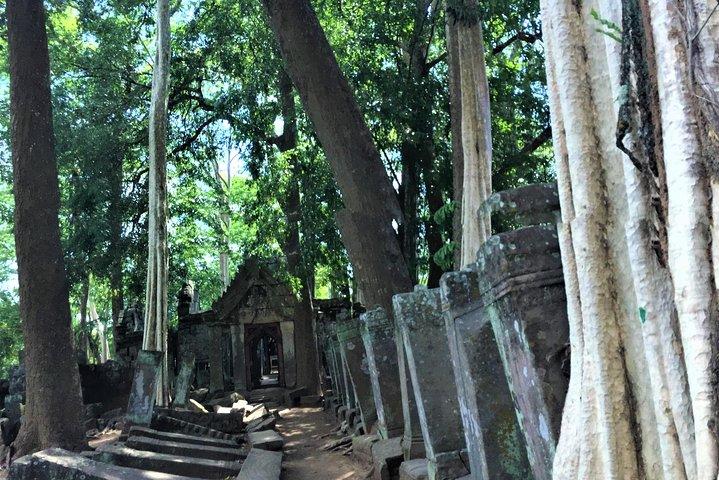 Koh Ker and Beng Mealea full day exploration by Jion-in Tour