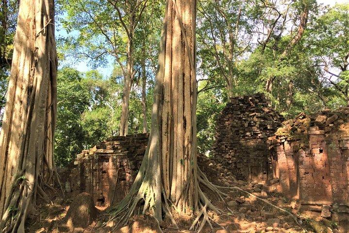 Koh Ker and Beng Mealea full day exploration by Jion-in Tour