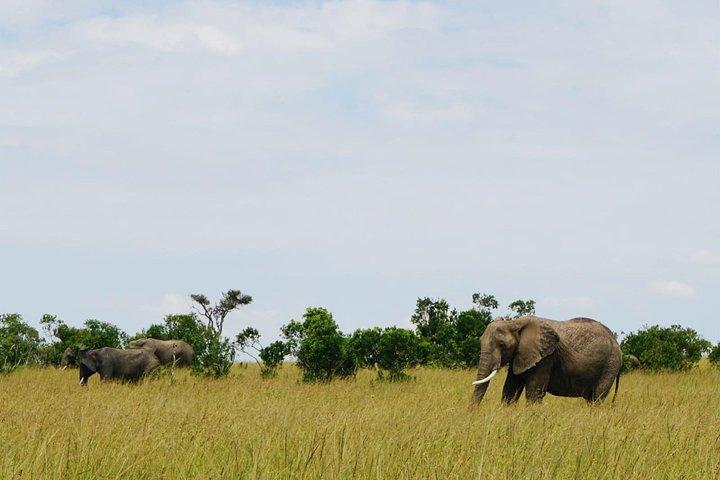 5 days Amboseli Tsavo National Park