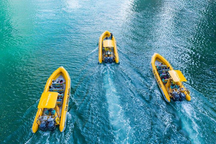 Abu Dhabi Guided Sightseeing Boat Tours