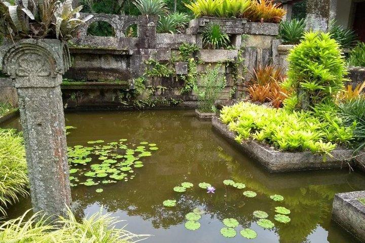 Sitio Roberto Burle Marx Guided Tour Ticket and Transfer